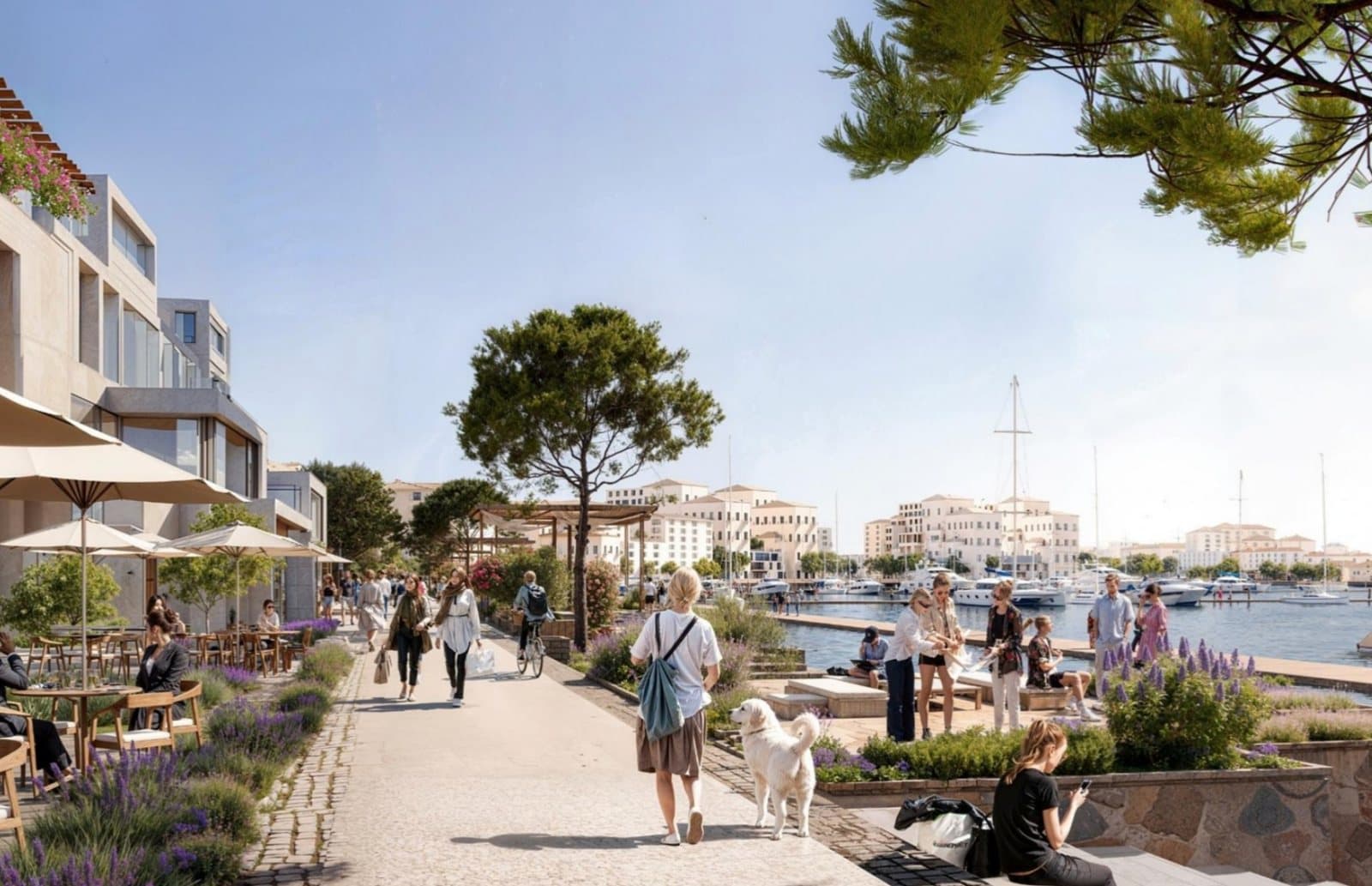 Render of a waterfront promenade with cafés, homes and yachts in the marina